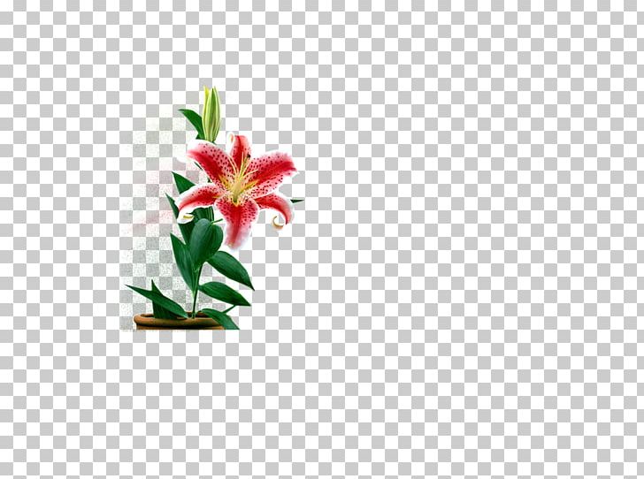Cut Flowers Floral Design PNG, Clipart, Art, Blog, Colorful, Cut Flowers, Flora Free PNG Download