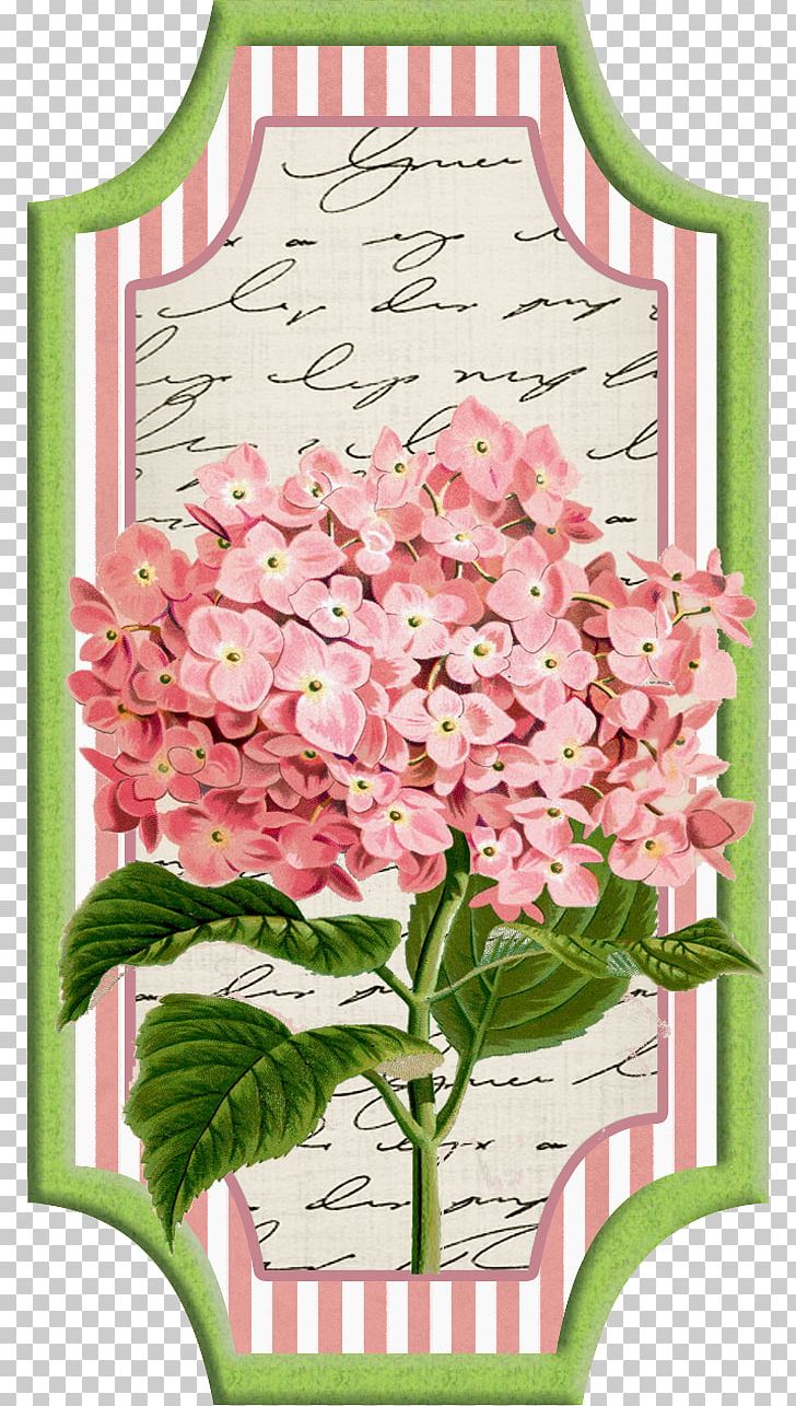 Cut Flowers Paper Wedding Invitation Oakleaf Hydrangea PNG, Clipart, Blue, Botanical Illustration, Cicekler, Color, Cornales Free PNG Download
