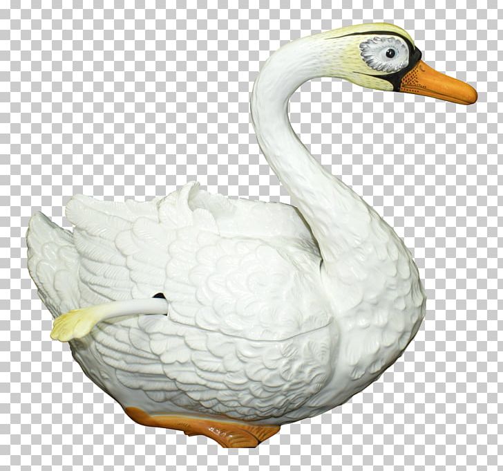 Duck Cygnini Goose Beak PNG, Clipart, Animals, Beak, Bird, Cygnini, Duck Free PNG Download