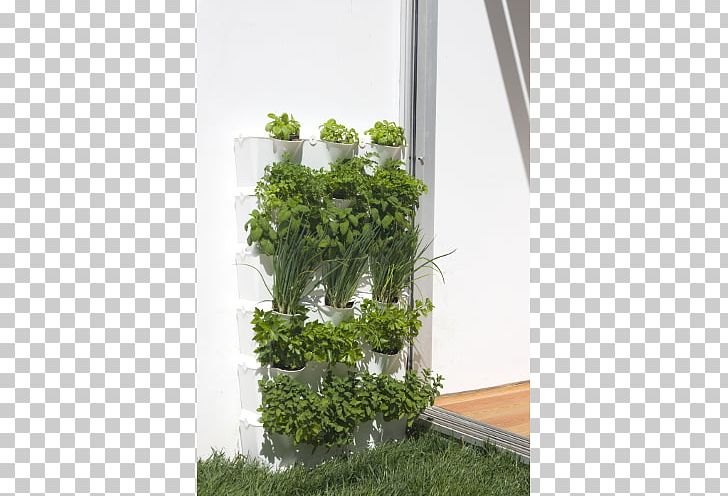 Flowerpot Kitchen Garden Houseplant Bertikal PNG, Clipart, Basket, Bertikal, Courtyard, Evergreen, Flora Free PNG Download