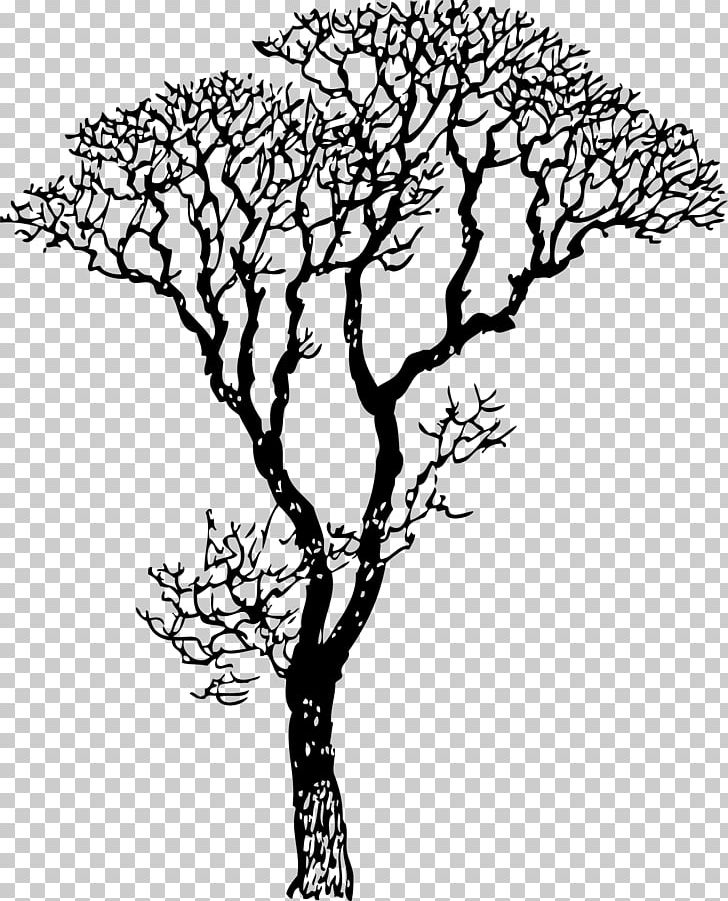 Wall Decal Trunk Tree Branch PNG, Clipart, Area, Bare, Black And White, Branch, Coloring Book Free PNG Download