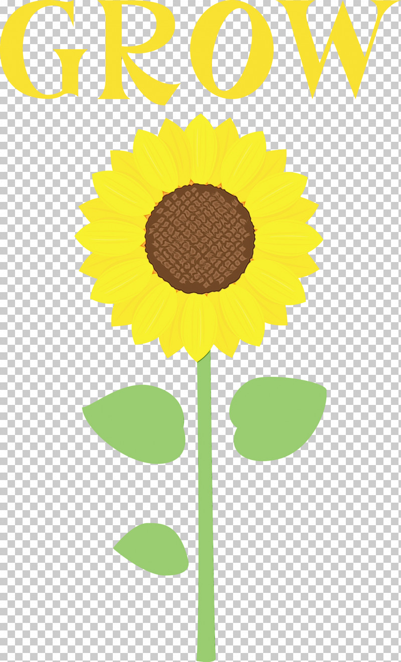 Floral Design PNG, Clipart, Cut Flowers, Daisy Family, Floral Design, Flower, Grow Free PNG Download