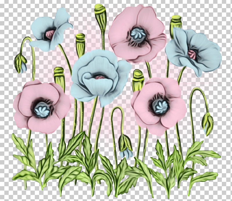 Floral Design PNG, Clipart, Anemone, Biology, Cut Flowers, Floral Design, Flower Free PNG Download