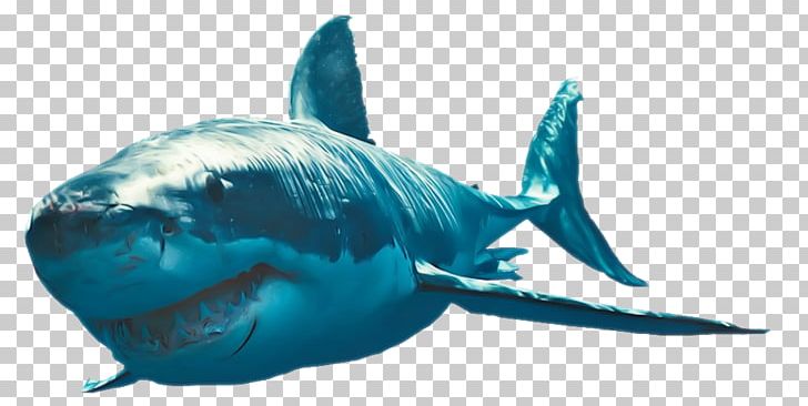 Bruce PNG, Clipart, Alpha Compositing, Animals, Aqua, Big Shark, Blue Shark Free PNG Download