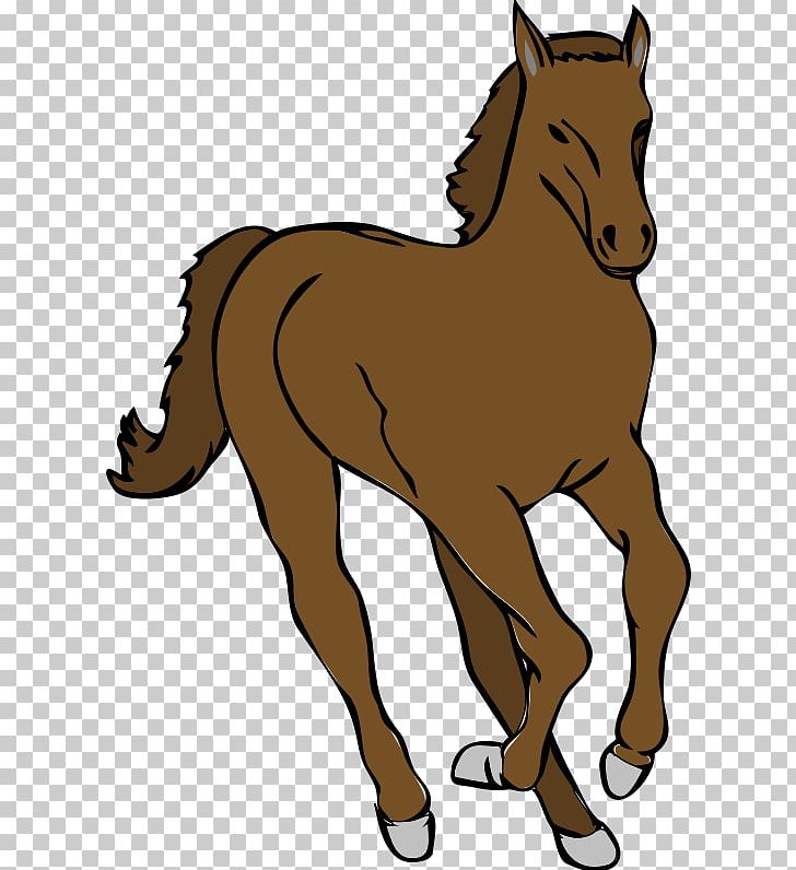 Horse Foal PNG, Clipart, Animal Figure, Animals, Bridle, Cavallo, Colt Free PNG Download
