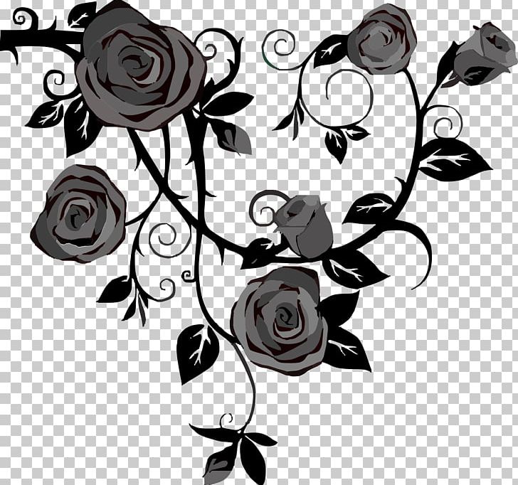 Rose Vine Drawing Thorns PNG, Clipart, Art, Black, Black And White, Black Rose, Branch Free PNG Download