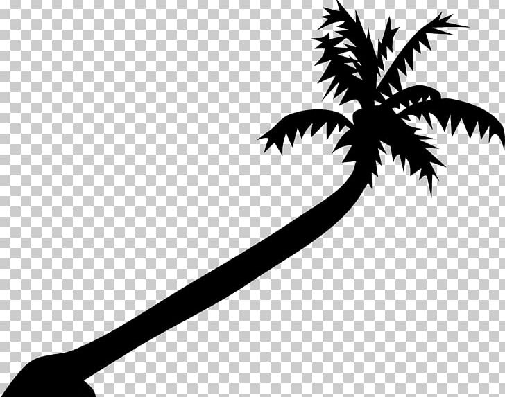 Arecaceae Coconut Leaf PNG, Clipart, Arecaceae, Arecales, Areca Palm, Asian Palmyra Palm, Black And White Free PNG Download