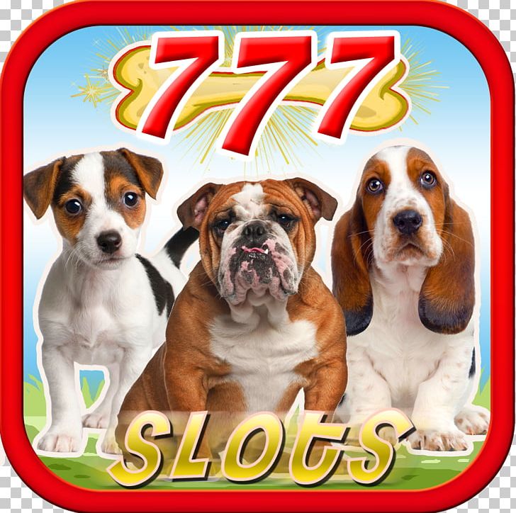 Dog Breed Beagle Puppy Bulldog Companion Dog PNG, Clipart,  Free PNG Download