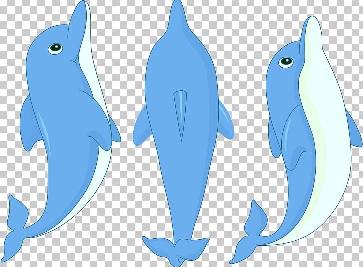 Dolphin Cartoon PNG, Clipart, Animals, Beak, Blue, Cartoon, Cute Free PNG Download