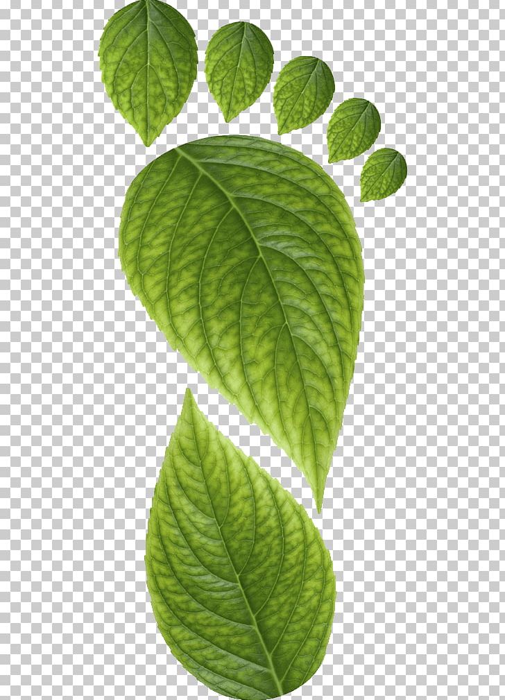 Ecological Footprint Carbon Footprint Earth Overshoot Day PNG, Clipart, Carbon Dioxide, Carbon Footprint, Earth, Earth Overshoot Day, Ecological Footprint Free PNG Download