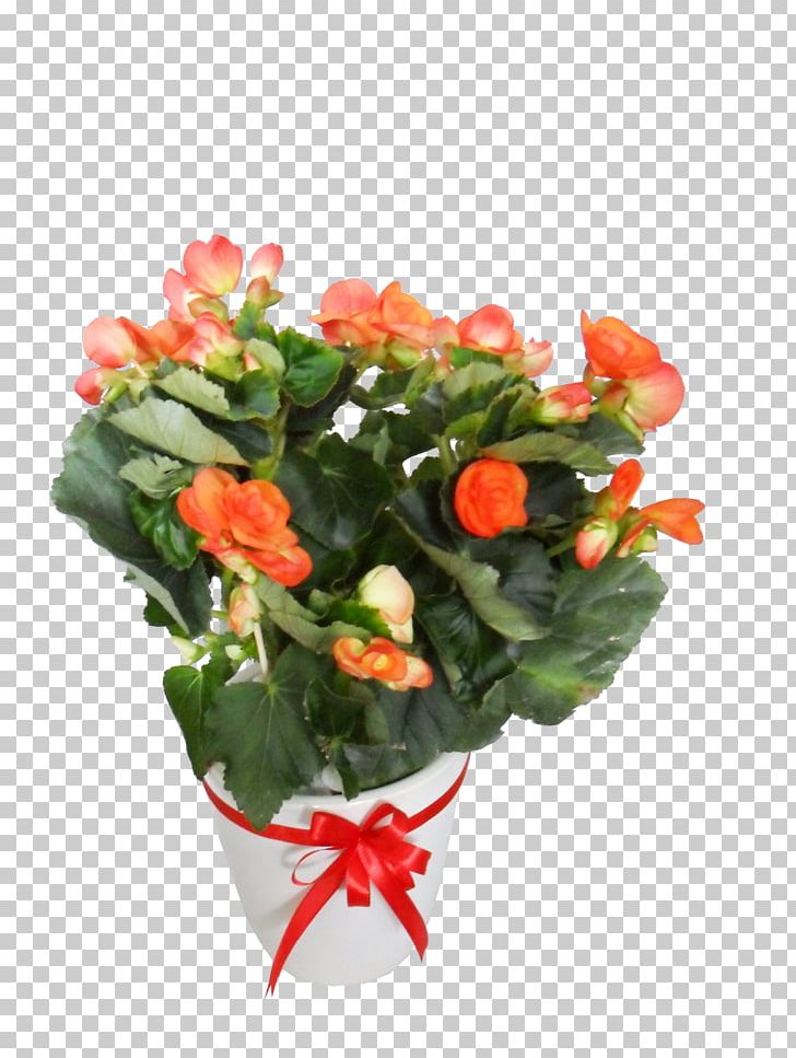Garden Roses Flowerpot Floral Design Artificial Flower PNG, Clipart, Annual Plant, Artificial Flower, Begonia, Cut Flowers, Floral Design Free PNG Download