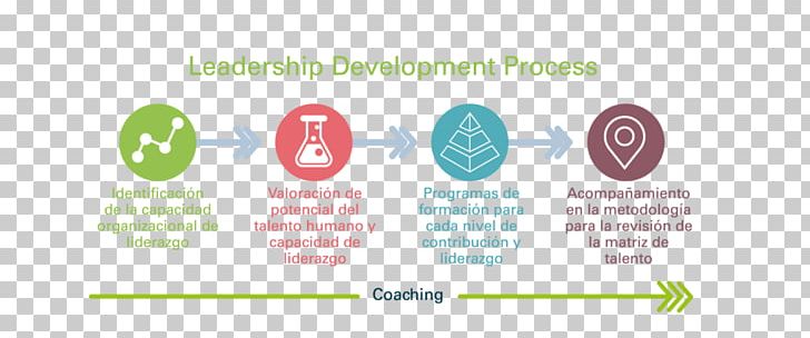 Leadership Desarrollo De Liderazgo Organization Talent Competence PNG, Clipart, Area, Brand, Character Structure, Coaching, Competence Free PNG Download