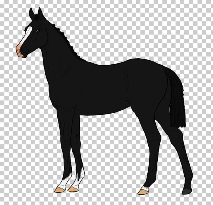 Mustang Foal Stallion Colt Anglo-Arabian PNG, Clipart, Bit, Bridle, Colt, English Riding, Equestrian Free PNG Download