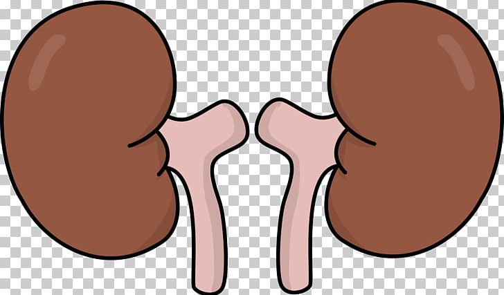 World Kidney Day PNG, Clipart, Anatomy, Animation, Arm, Cheek, Desktop Wallpaper Free PNG Download