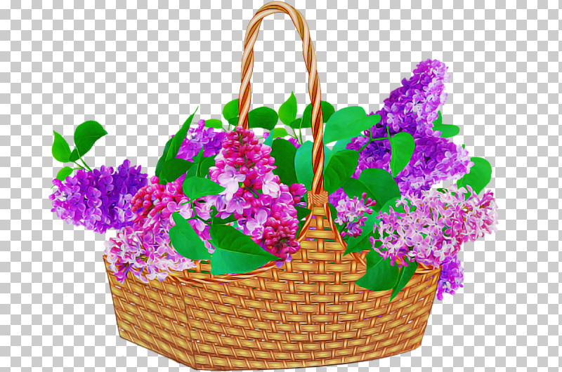 Flowerpot Flower Violet Plant Magenta PNG, Clipart, Basket, Cattleya, Dendrobium, Flower, Flowerpot Free PNG Download