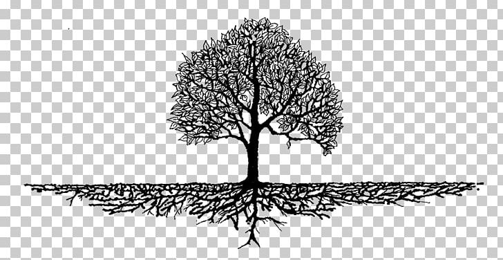 Tree Of Life Root Branch Soil PNG, Clipart, Arborist, Arborist Now, Artwork, Black And White, Branch Free PNG Download