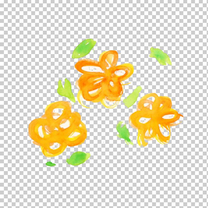 Orange PNG, Clipart, Orange, Plant, Watercolor Flower, Yellow Free PNG Download