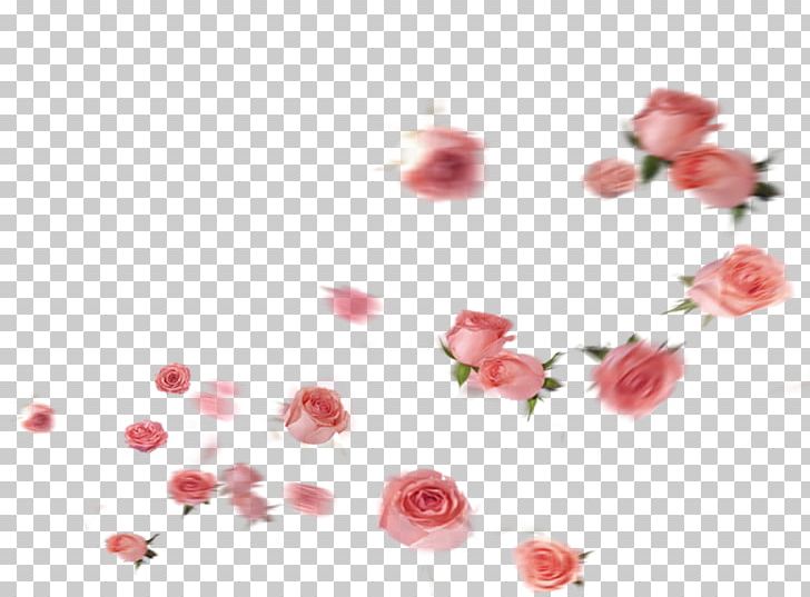 Garden Roses Petal Flower PNG, Clipart, Artificial Flower, Blossom, Deco, Digital Image, Floral Design Free PNG Download