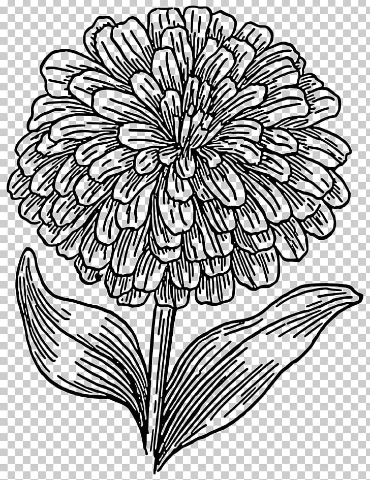 Coloring Book Drawing Zinnia Flower PNG, Clipart, Adult, Art, Art Pattern, Artwork, Black And White Free PNG Download