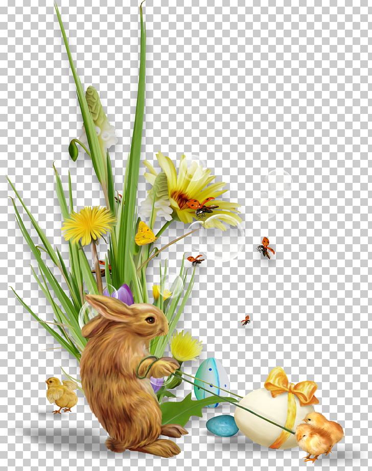 Easter Bunny Rabbit PNG, Clipart, Animals, Balloon Cartoon, Boy Cartoon, Cartoon Character, Cartoon Cloud Free PNG Download