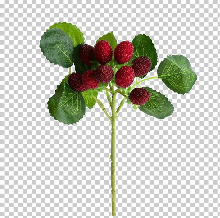 Strawberry Simulation Red Raspberry Plant Fruit Tree PNG, Clipart, Christmas Tree, Cover, Family Tree, Flower, Fruit Free PNG Download