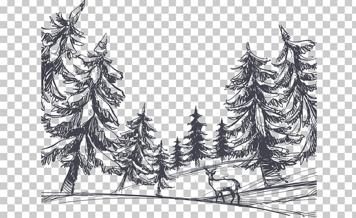 Drawing Shulin District PNG, Clipart, Black And White, Cartoon, Conifer, Deer, Forest Free PNG Download
