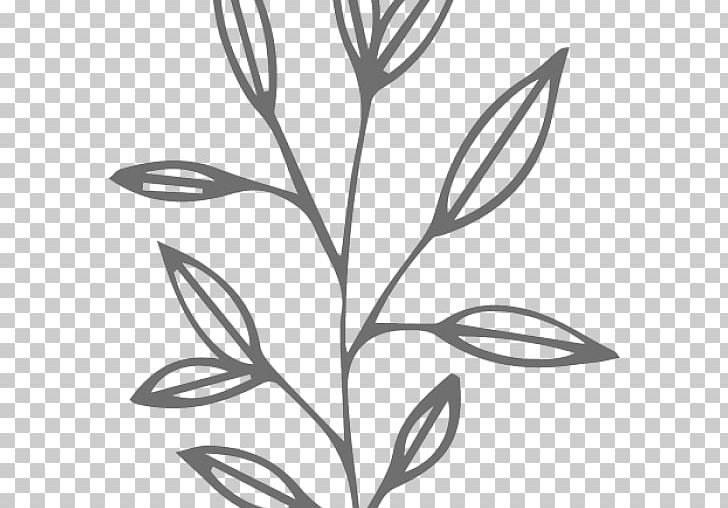 Leaf Plant Stem Wreath PNG, Clipart, Branch, Bride, Computer Icons, Drawing, Flora Free PNG Download