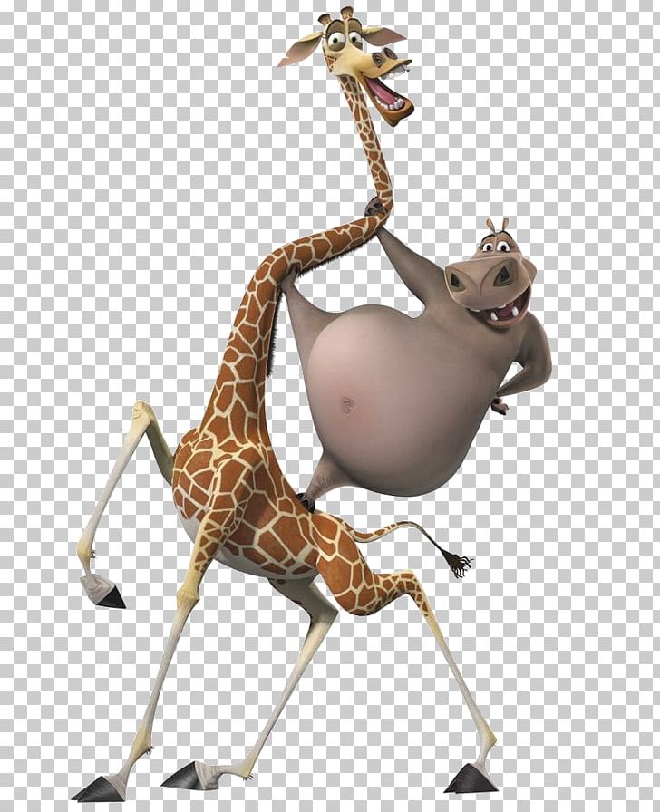 Melman Gloria Madagascar T-shirt Hippopotamus PNG, Clipart, Animated Film, Clothing, David Schwimmer, Film, Friends Free PNG Download