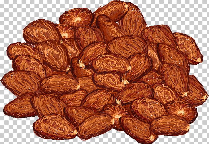 Theobroma Cacao Cocoa Bean Illustration PNG, Clipart, Cocoa Bean, Encapsulated Postscript, Food, Hand, Hand Drawn Free PNG Download