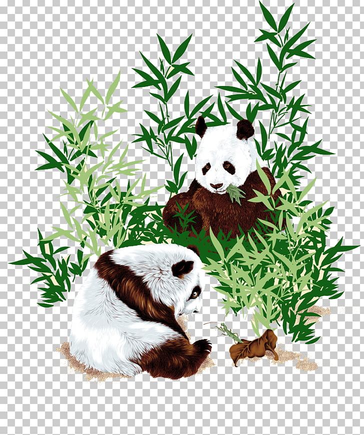 Chinese Cuisine Panda West Chinese Restaurant Giant Panda Bamboo PNG, Clipart, Animal, Animals, Bamboo Shoot, Carnivoran, Cartoon Free PNG Download