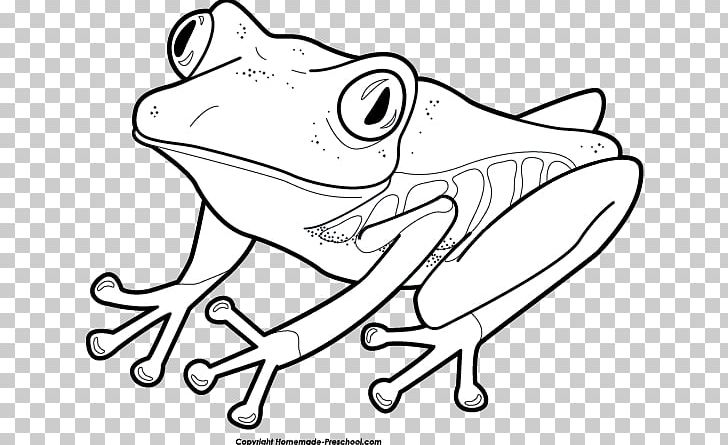 Frog And Toad Are Friends Tree Frog Coloring Book PNG, Clipart, Adult, Amphibian, Animals, Art, Artwork Free PNG Download