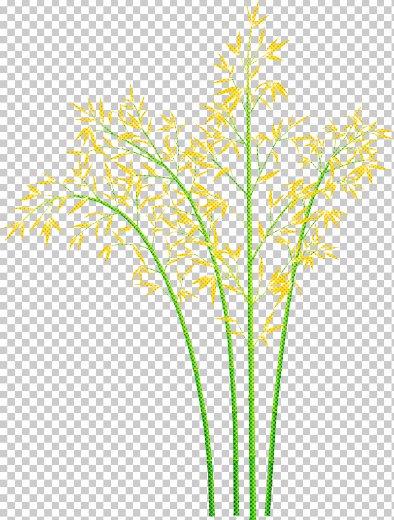 Bamboo Leaf PNG, Clipart, Bamboo, Flower, Grass, Grass Family, Leaf Free PNG Download