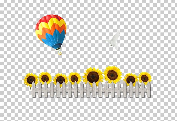 Common Sunflower Chrysanthemum PNG, Clipart, Air, Air Balloon, Balloon, Christmas Decoration, Computer Wallpaper Free PNG Download