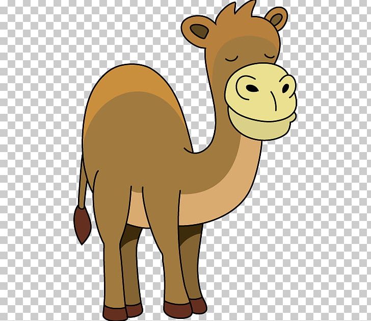 Dromedary Cat Animal Mammal Camel PNG, Clipart, Animal, Animal Figure