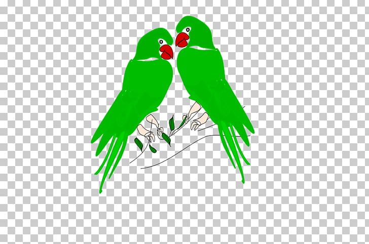 Parrot Bird PNG, Clipart, Animal, Animals, Beak, Bird, Grass Free PNG Download