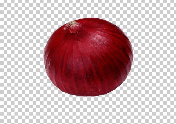 Red Onion Maroon PNG, Clipart, Food, Green Onion, Ingredient, Maroon, Onion Free PNG Download
