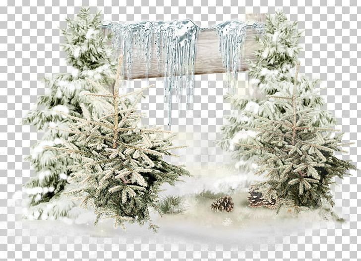 Winter Drawing Snow PNG, Clipart, Animated Film, Arriere Plan, Bird, Branch, Cartoon Free PNG Download