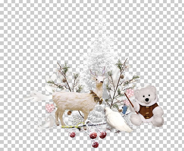 Christmas Tree Santa Claus Dieppe Christmas Ornament PNG, Clipart, Blog, Branch, Christmas Decoration, Christmas Ornament, Christmas Tree Free PNG Download