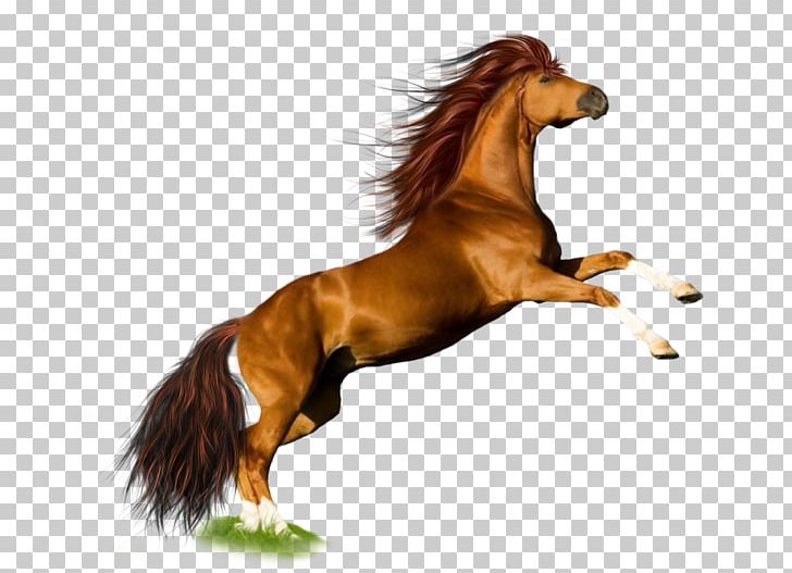 Horse Mare Pony PNG, Clipart, Animals, Download, Encapsulated Postscript, Foal, Horse Free PNG Download