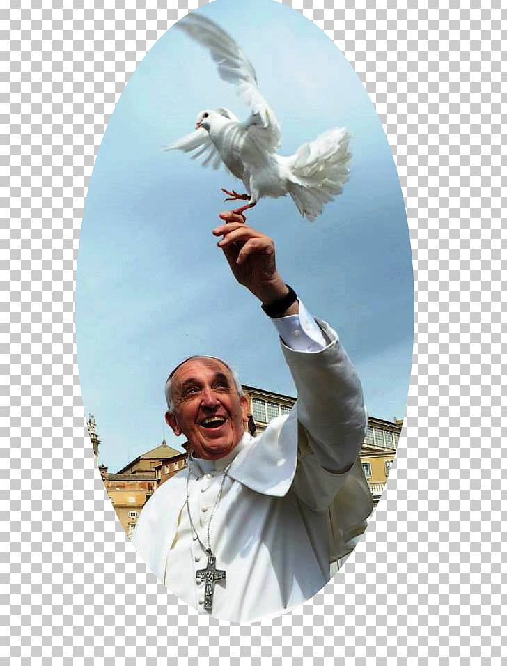 Pope Francis Vatican City Institute For The Works Of Religion Catholic Church PNG, Clipart, Argentines, Bird Of Prey, Catholic Church, Christian Church, Francis Of Assisi Free PNG Download
