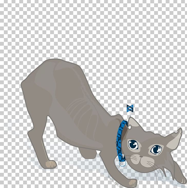 Whiskers Cat Dog Tail JavaScript Framework PNG, Clipart, Animals, Canidae, Carnivoran, Cat, Cat Like Mammal Free PNG Download