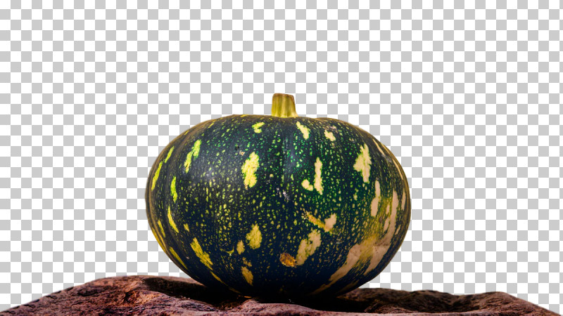 Squash Winter Squash Gourd PNG, Clipart, Gourd, Squash, Winter Squash Free PNG Download