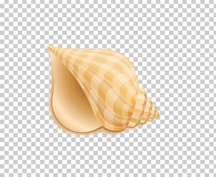 Seashell Sea Snail Beach PNG, Clipart, Beach, Beaches, Beach Party, Beach Vector, Conch Free PNG Download