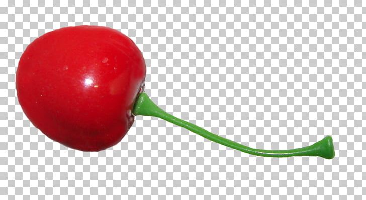 Sweet Cherry PNG, Clipart, Bell Peppers And Chili Peppers, Cerasus, Cherry, Computer Icons, Food Free PNG Download