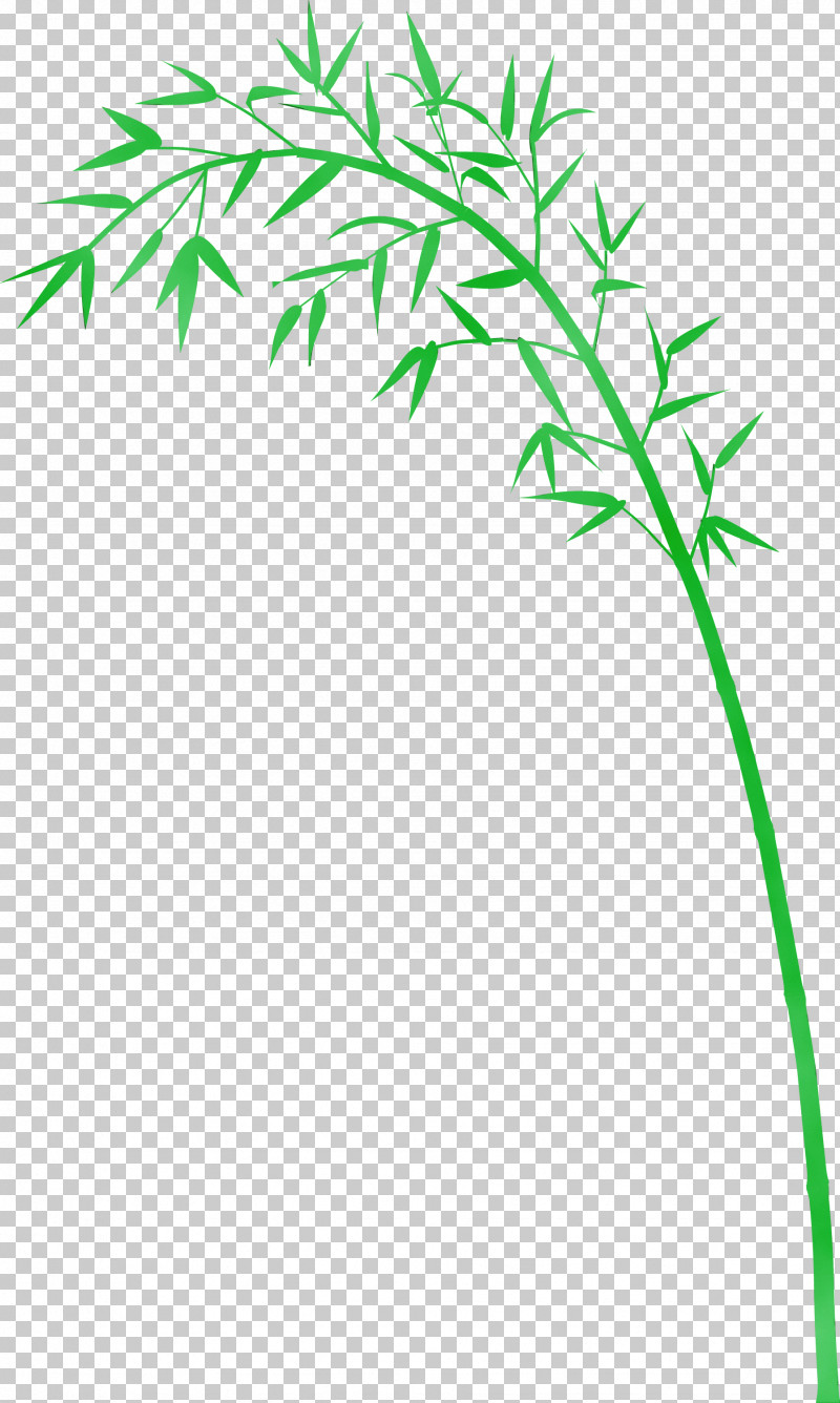 Leaf Plant Plant Stem Grass Grass Family PNG, Clipart, Bamboo, Flower, Grass, Grass Family, Leaf Free PNG Download