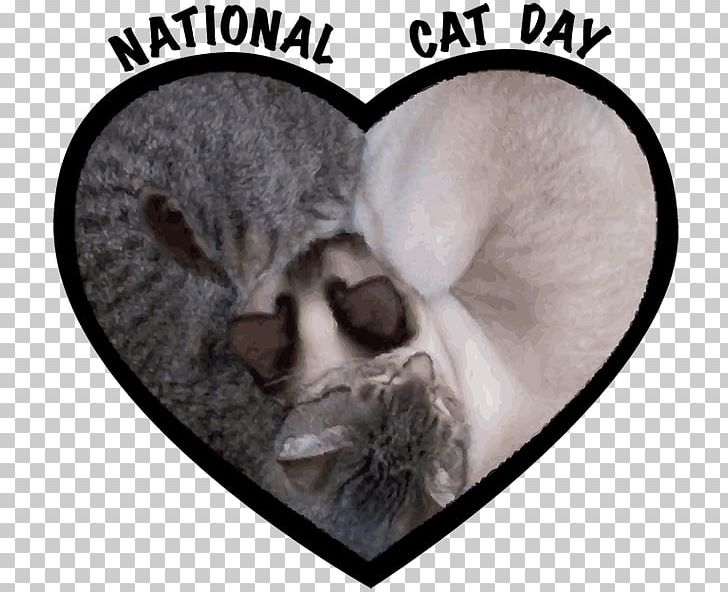 International Cat Day Kitten World Cat Day PNG, Clipart, Black Cat, Cat, Cat Like Mammal, Dog Like Mammal, Felidae Free PNG Download