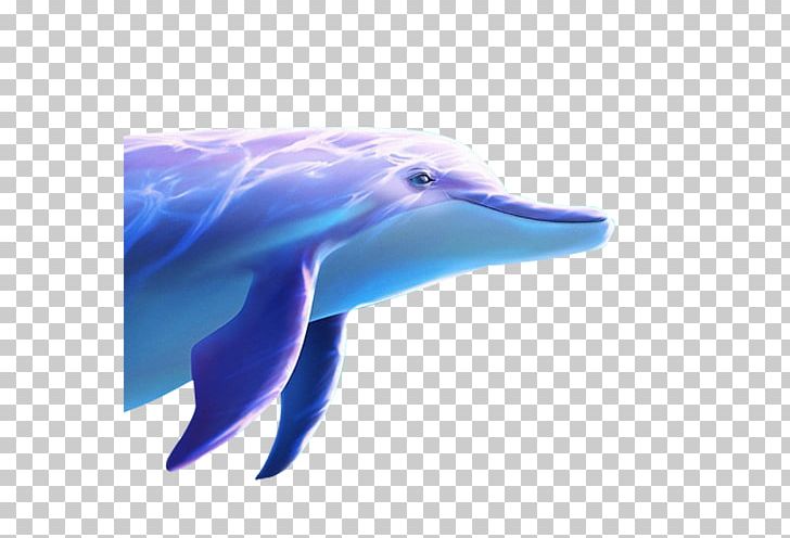 Common Bottlenose Dolphin Wholphin Short-beaked Common Dolphin Tucuxi Spinner Dolphin PNG, Clipart, Animal, Animals, Blue, Cute Whale, Electric Blue Free PNG Download