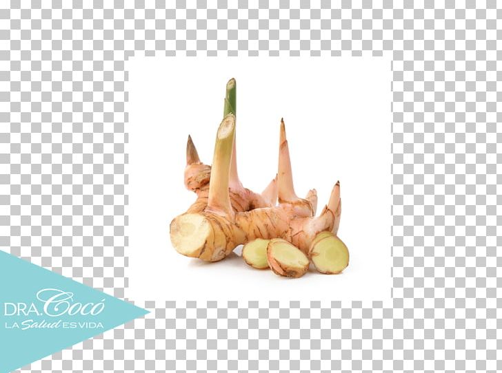 Galangal Ginger Root Vegetable Profit PNG, Clipart, Blue, Cancer, Chesed, Coco, Coconut Free PNG Download