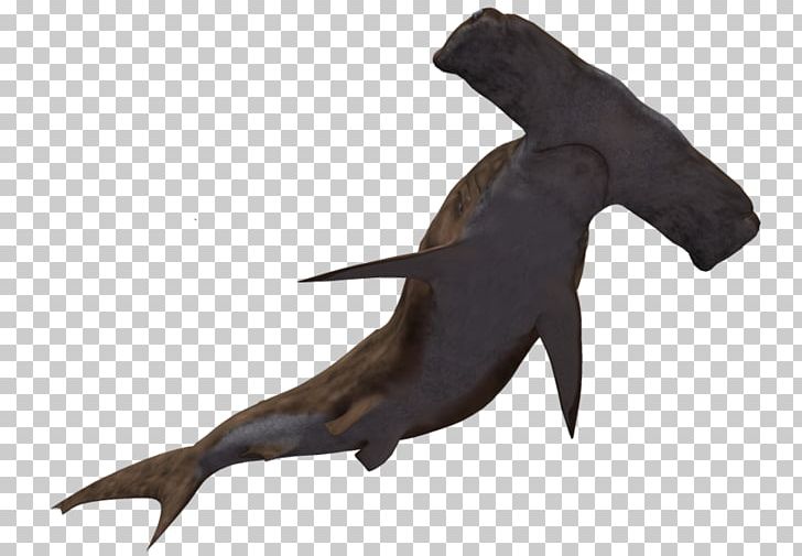 Hammerhead Shark PNG, Clipart, 3d Computer Graphics, Animals, Blue Shark, Deep Sea Creature, Download Free PNG Download