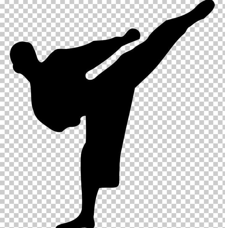 Karate Martial Arts Silhouette PNG, Clipart, Arm, Black And White, Download, Finger, Hand Free PNG Download